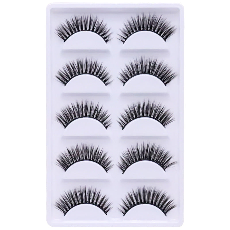 5-Pack 3D Faux Mink False Eyelashes Thick False Eyelashes 8-13 MM 007