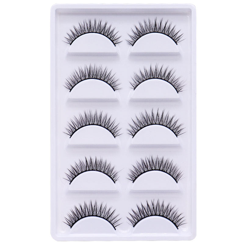 5-Pack 3D Faux Mink False Eyelashes Thick False Eyelashes 7-11 MM 010