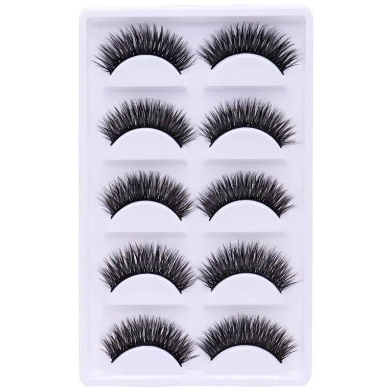 5-Pack 3D Faux Mink False Eyelashes Thick False Eyelashes 10-13 MM 013