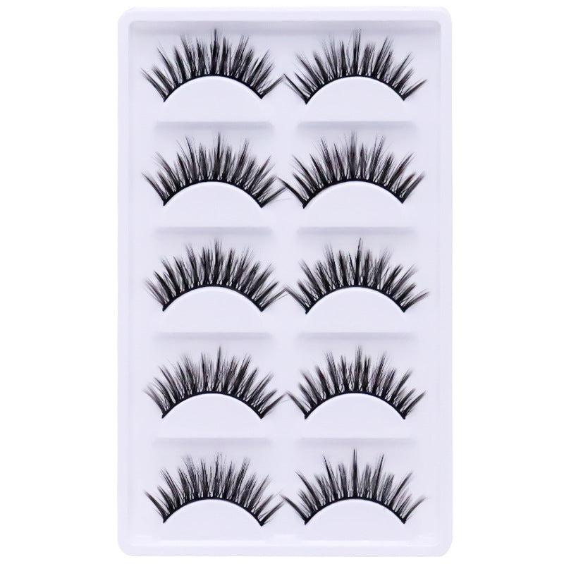 5-Pack 3D Faux Mink False Eyelashes Thick False Eyelashes 10-14 MM 020