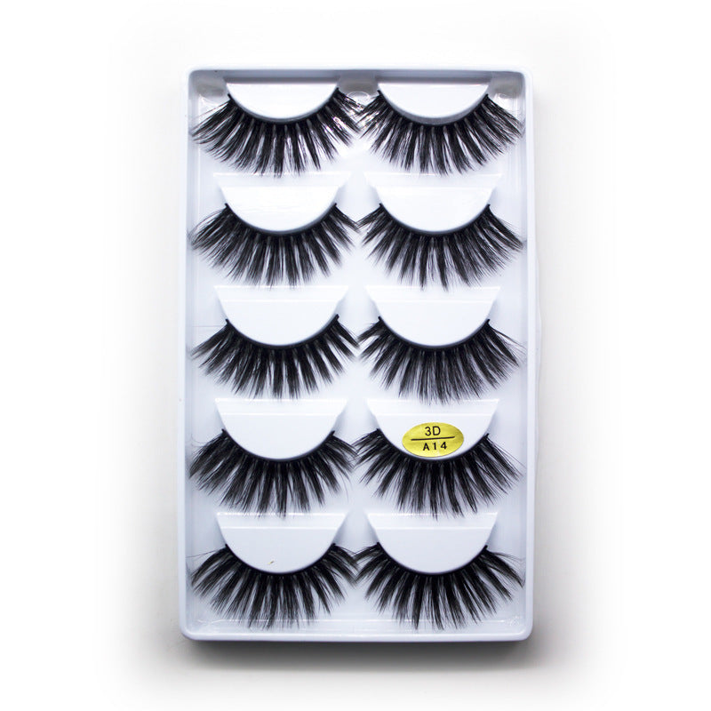 5-Pack 3D Faux Mink False Eyelashes Thick False Eyelashes 10-16 MM 3DA14