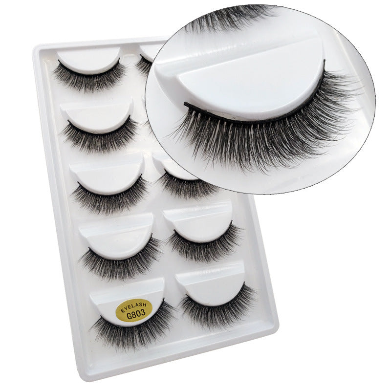 5 Pairs Of 3D Faux Mink Hair Natural Flully False Eyelashes 10mm G803