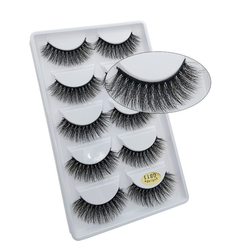 5 Pairs Of 3D Faux Mink Hair Natural Flully False Eyelashes 14mm G811