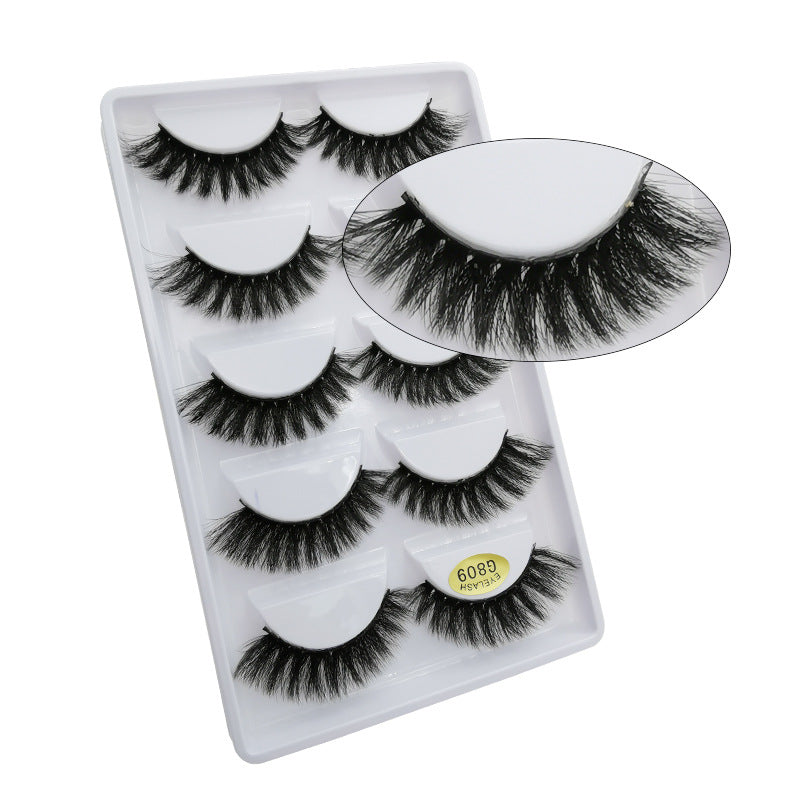 5 Pairs Of 3D Faux Mink Hair Natural Flully False Eyelashes 9-12mm G809