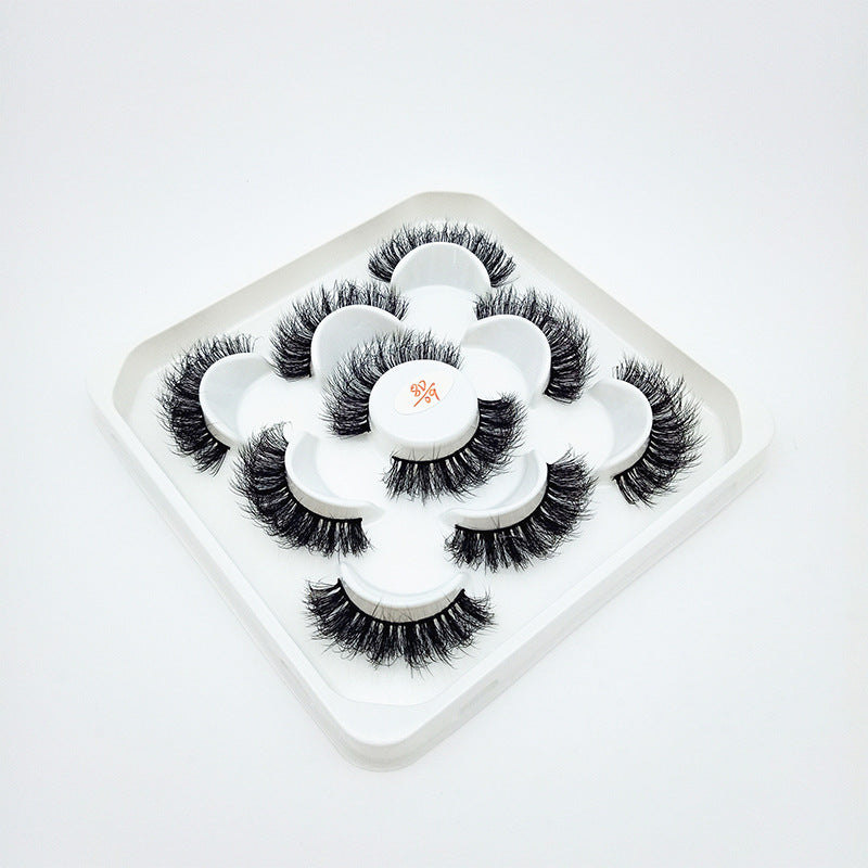 5 Pairs Of Flully Faux Mink Hair False Eyelashes 15mm 8D-09