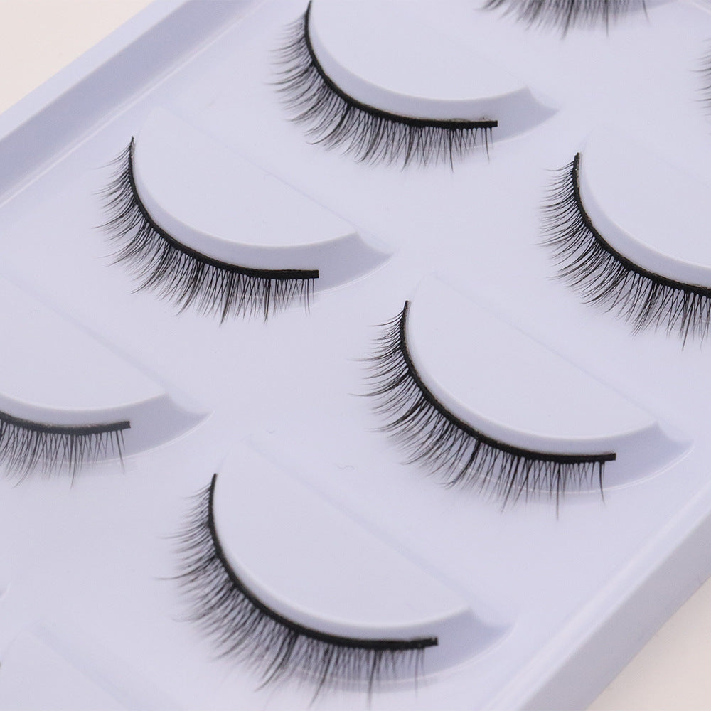 5-Pack 3D Faux Mink False Eyelashes Thick False Eyelashes 5-7 MM