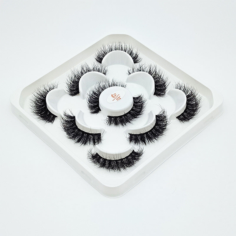 5 Pairs Of Flully Faux Mink Hair False Eyelashes 15mm 8D-05