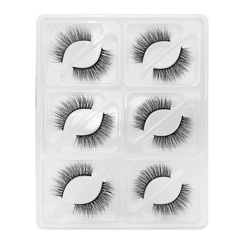 6 Pairs Of Mink Hair Natural Thick Long False Eyelashes 11-14mm S107