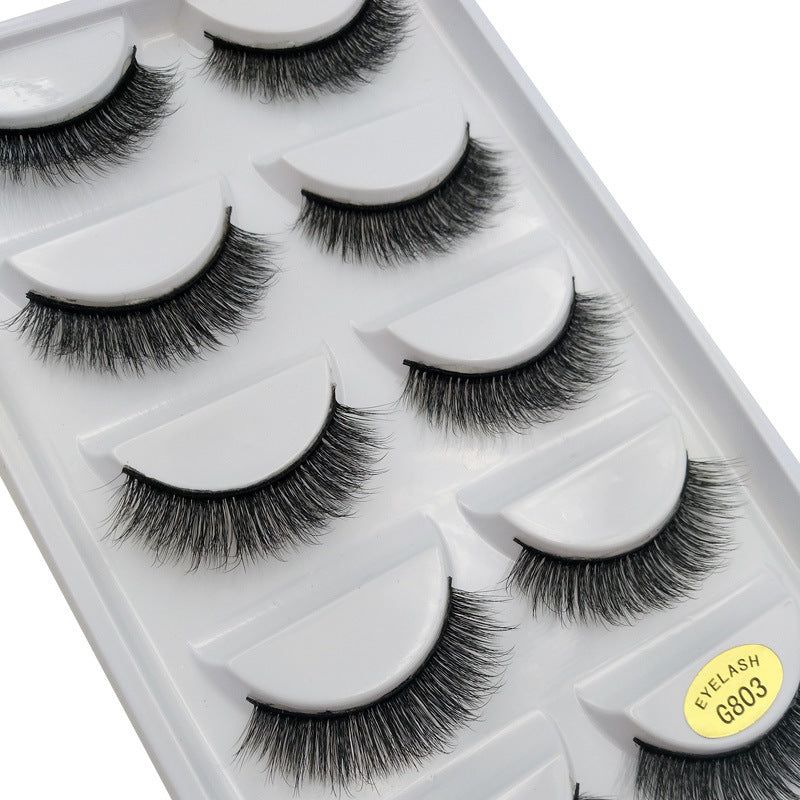 5 Pairs Of 3D Faux Mink Hair Natural Flully False Eyelashes 10mm G803