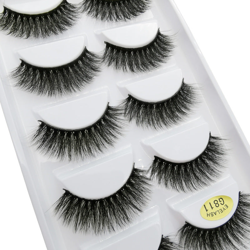 5 Pairs Of 3D Faux Mink Hair Natural Flully False Eyelashes 14mm G811