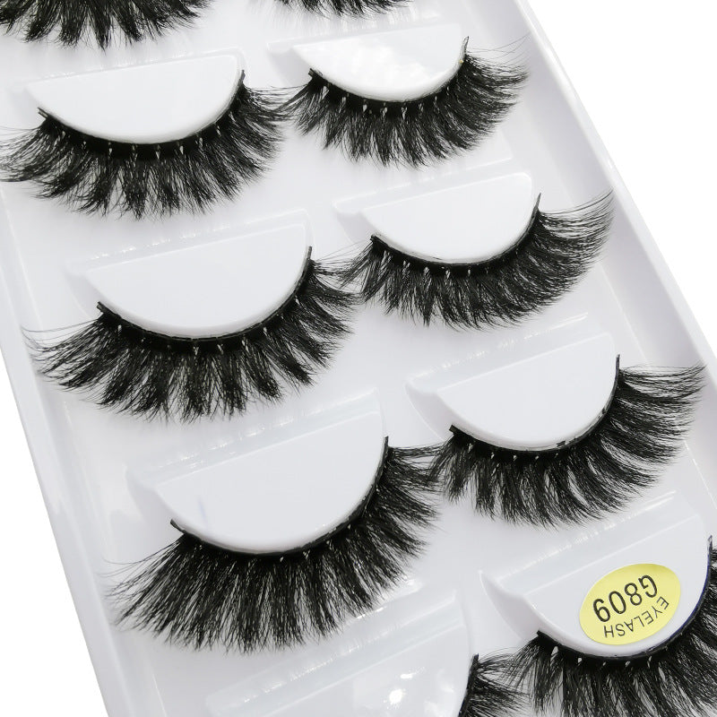 5 Pairs Of 3D Faux Mink Hair Natural Flully False Eyelashes 9-12mm G809