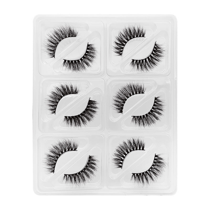 6 Pairs Of Mink Hair Natural Thick Long False Eyelashes 10-13mm S102