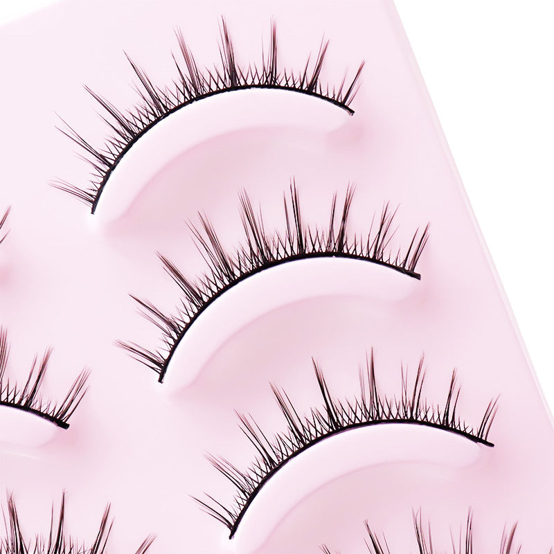 5-Pack 3D Faux Mink False Eyelashes Thick False Eyelashes 7-8 MM R02