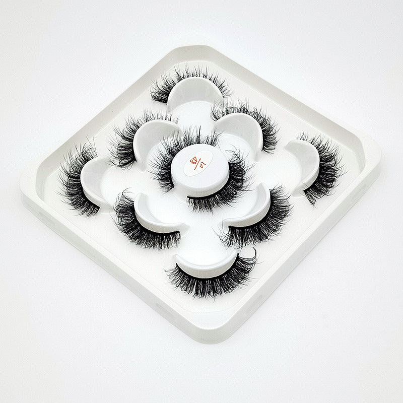 5 Pairs Of Flully Faux Mink Hair False Eyelashes 20mm 8D-01