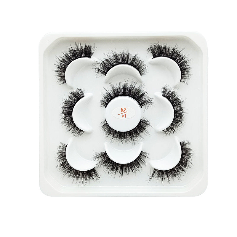 5 Pairs Of Flully Faux Mink Hair False Eyelashes 20mm 8D-01