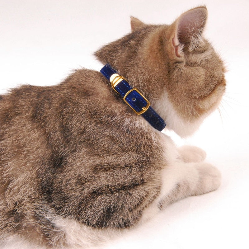 Neepet Cat Collar With Bell Puppy Dog Collar Kittens Solid Pet Collar