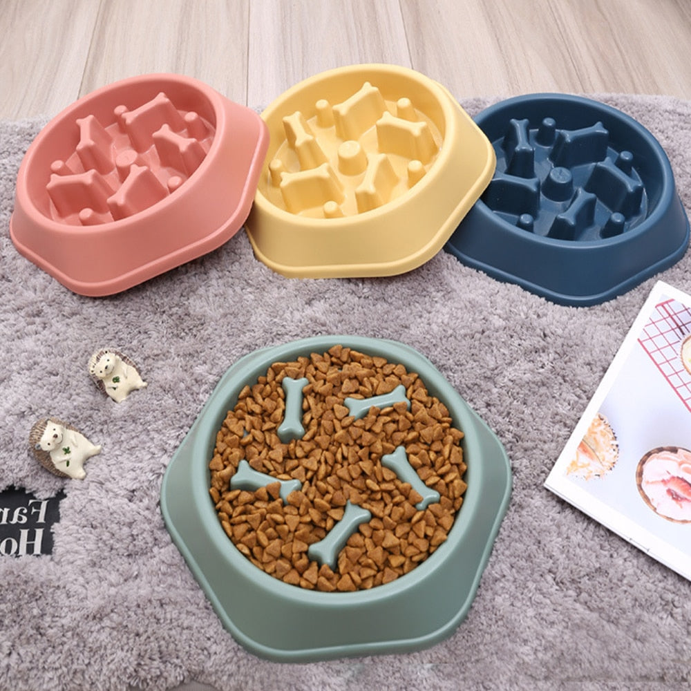 Neepet Dog Bowl Slow Feeder Cat Eating Dish Anti-gulping Food Plate